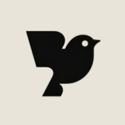 Logotipo de Robin AI